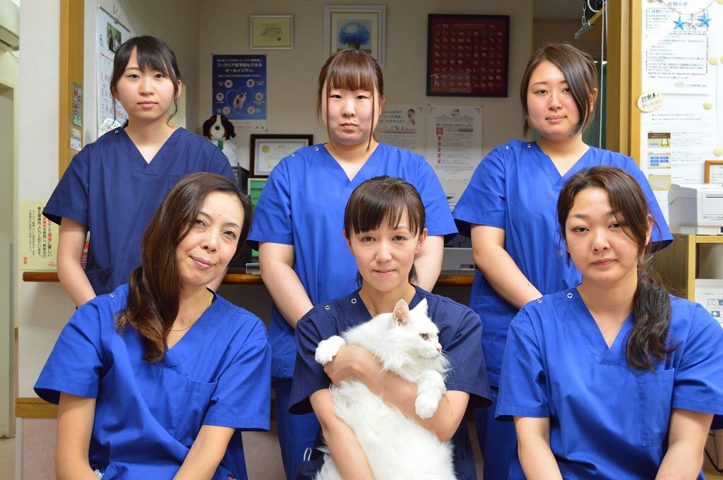 スタッフ紹介 たけくま動物病院
